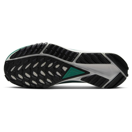 Nike Pegasus Trail 4 GORE-TEX